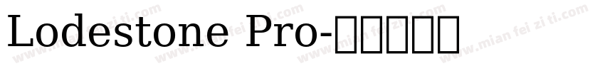 Lodestone Pro字体转换